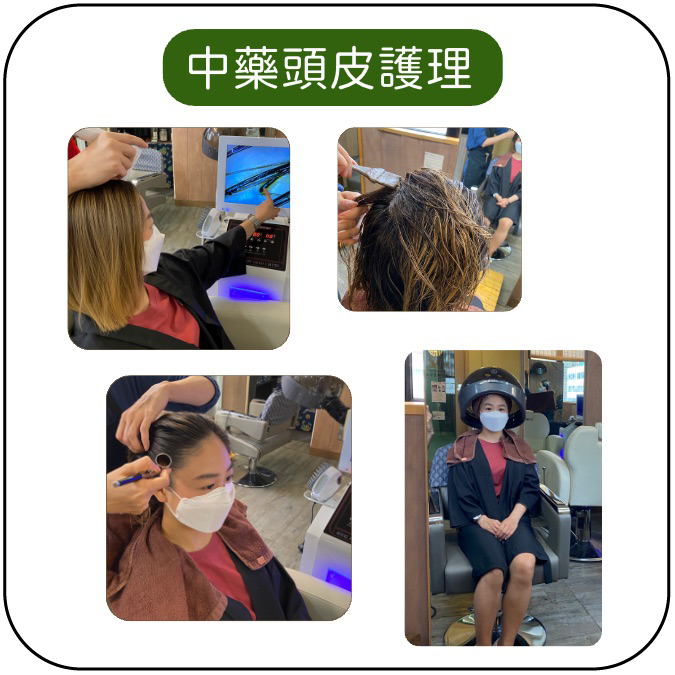 SQ Herbal Hair Colouring Treatment SQ 中藥染髮